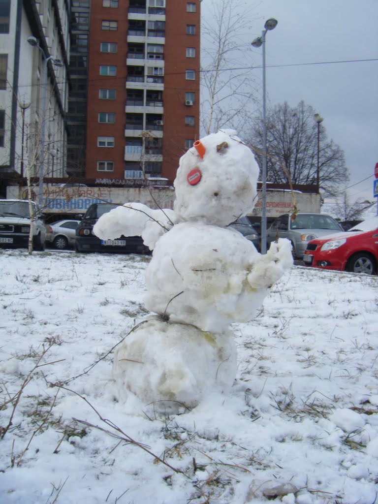 Niš, Srbija; Hej, šta je sa mnom, postaje toplije; Nis. Serbia: Hey what about me, It's becoming warmer by Veljko N. Nis, Serbia