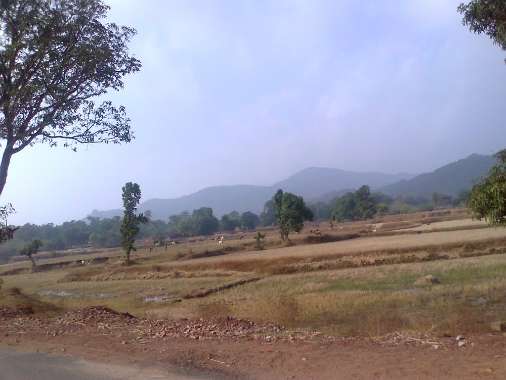 Feilds and Mountains enroute Kunkuri by suchitaxaxa