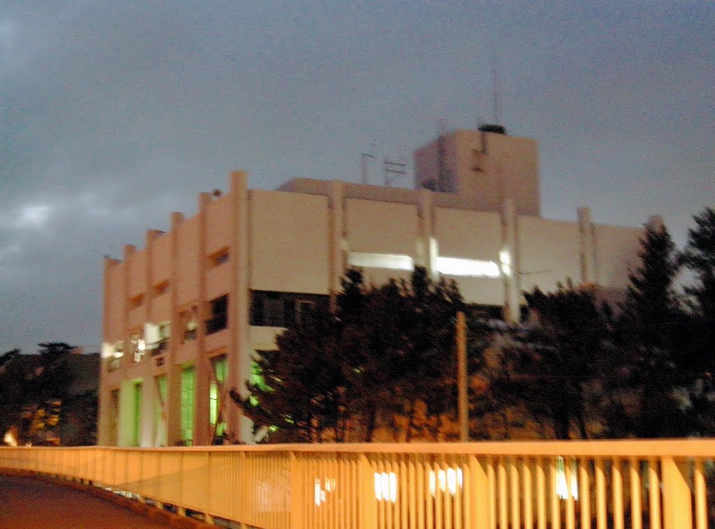 夜の大磯町役場 (Oiso town hall at night) by yossy