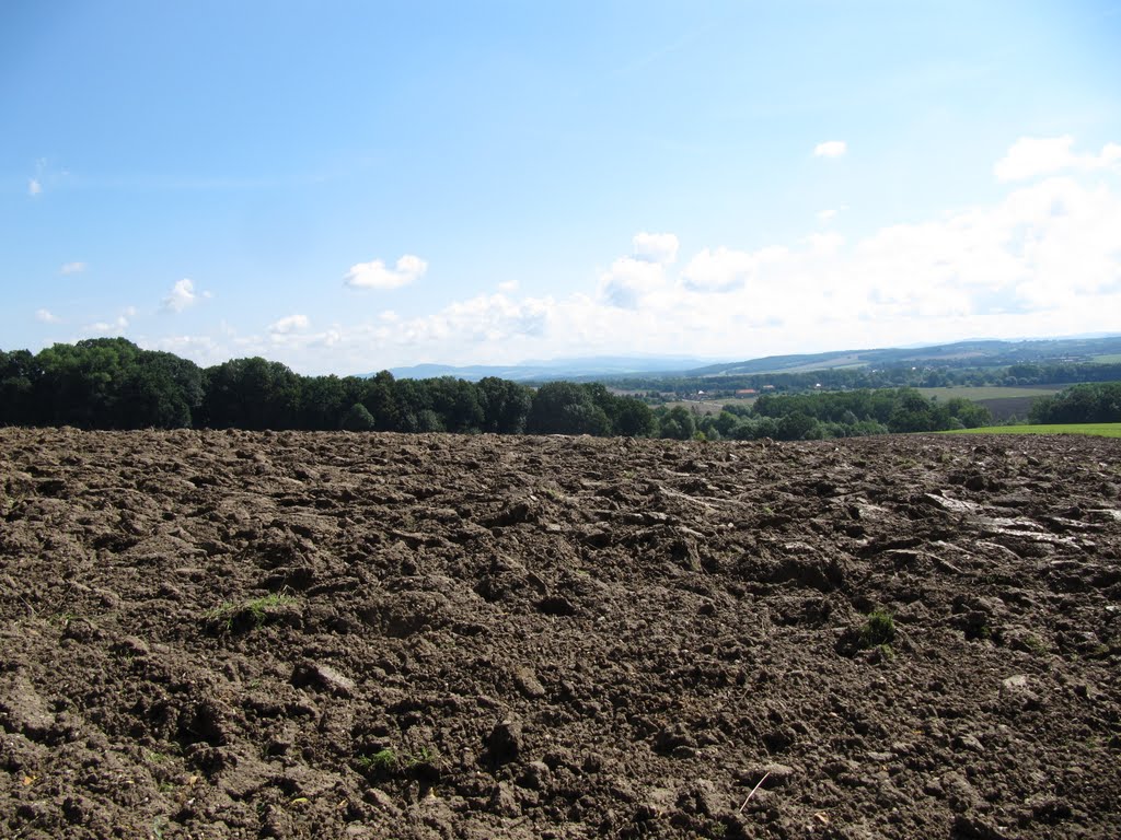 Výhled na panorama Moravskoslezských Beskyd by Petra Šikulová