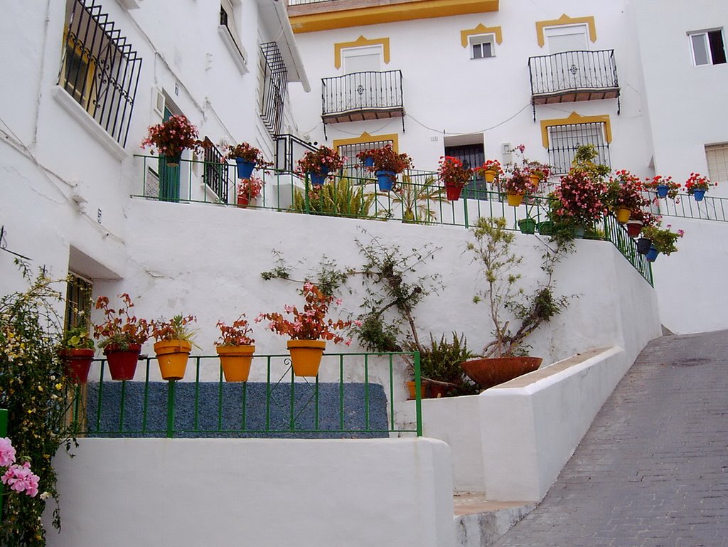 Rincones de Torrox by Francisco Criado Alo…