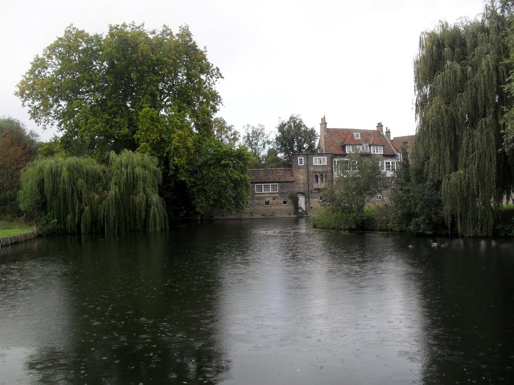 Darwin College by Jan Schaffer