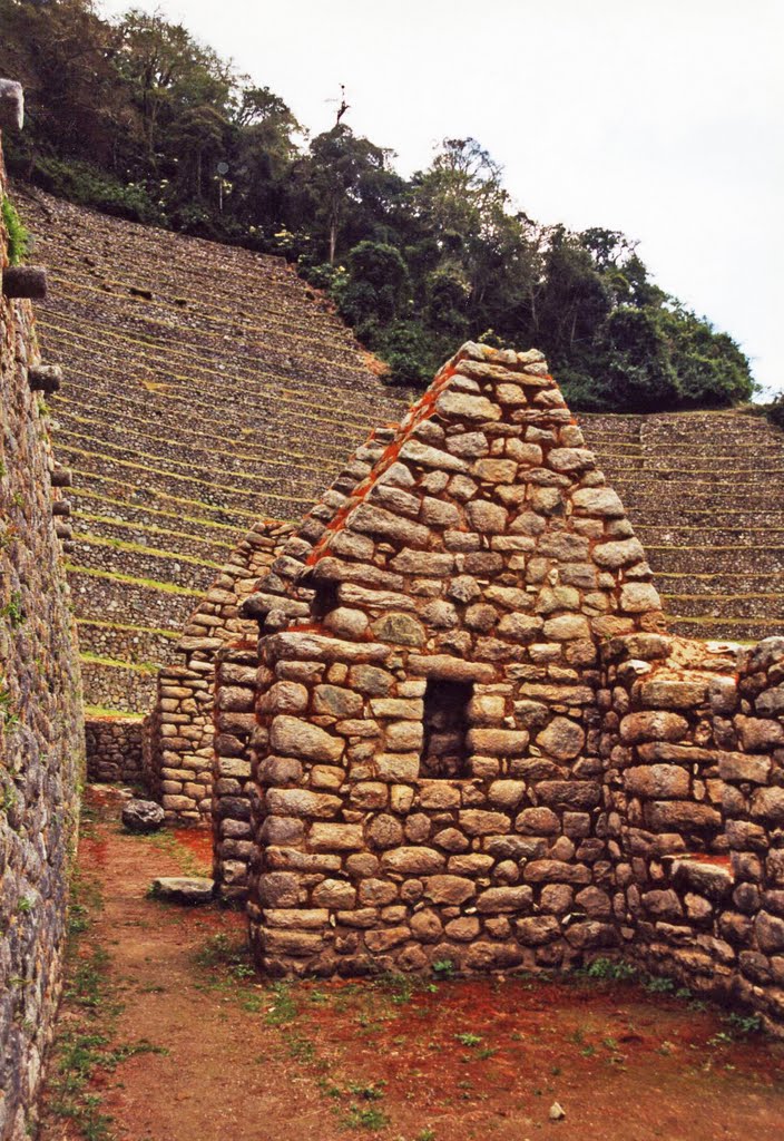 Winawayna sanctuary on the Machu Picchu trail by davidbroad