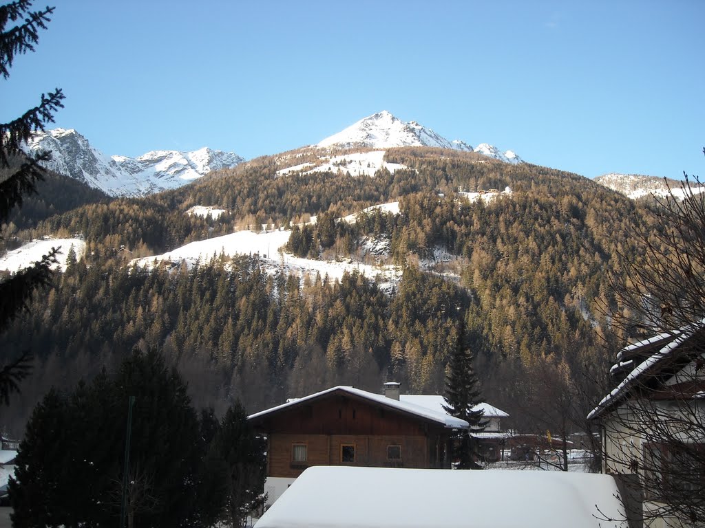 View from the terrace Gasthof Marx by Igor Vlahovic