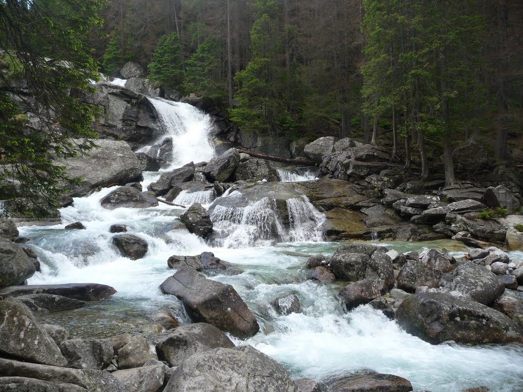 Trip on Téry's hut, Coldwater waterfall (Slovakia), summer 2010 by rdaniel