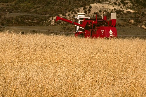 Near Buford, CO by fpsimages