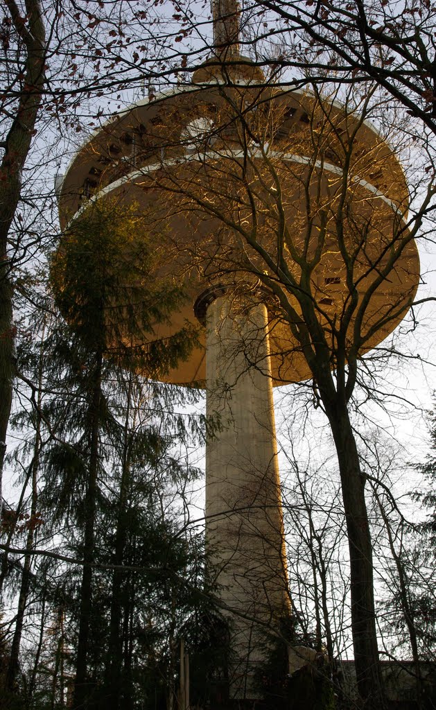 Fernmeldeturm auf dem Dünsberg by raginhardy