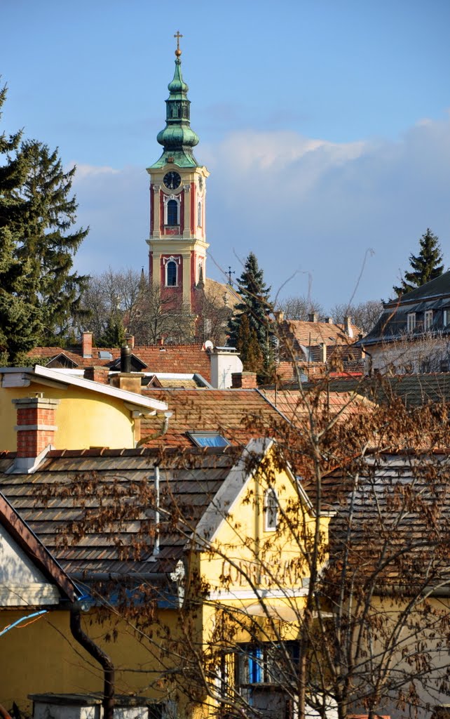 A tetők fölött őrködik by etterla