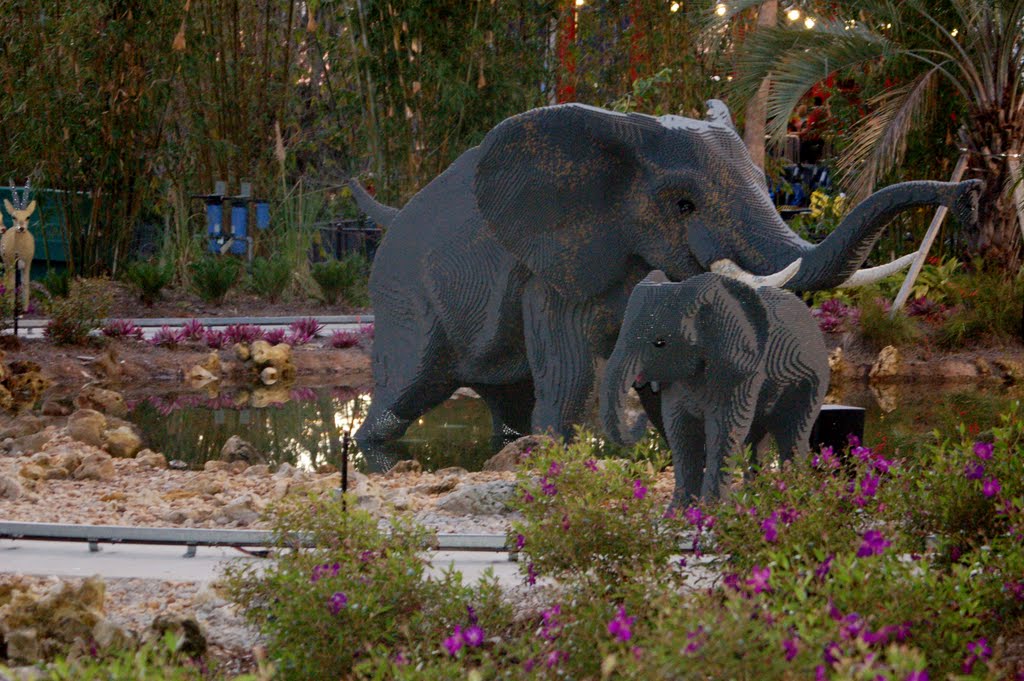 Elephants at Safari Trek, Legoland, Winter Haven, FL by Scotch Canadian