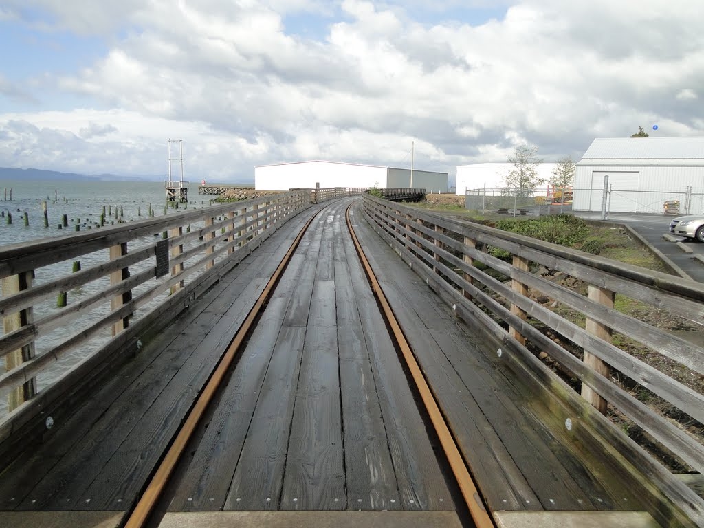 Trolley Bridge by Gino Vivi