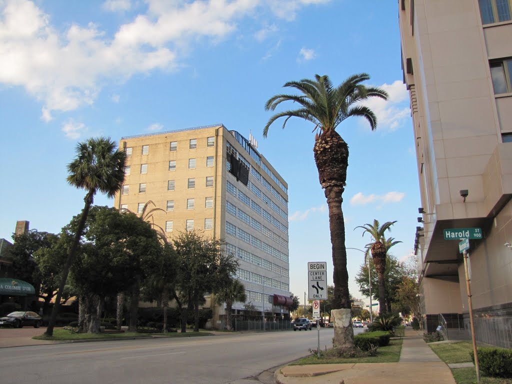 Nov 2011 Photo: Montrose Blvd. at Harold - Houston TX 77006 [3400 Montrose Blvd. since demolished[ by Wolfgang Houston