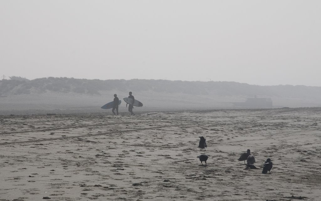 Ocean Beach by carnehl