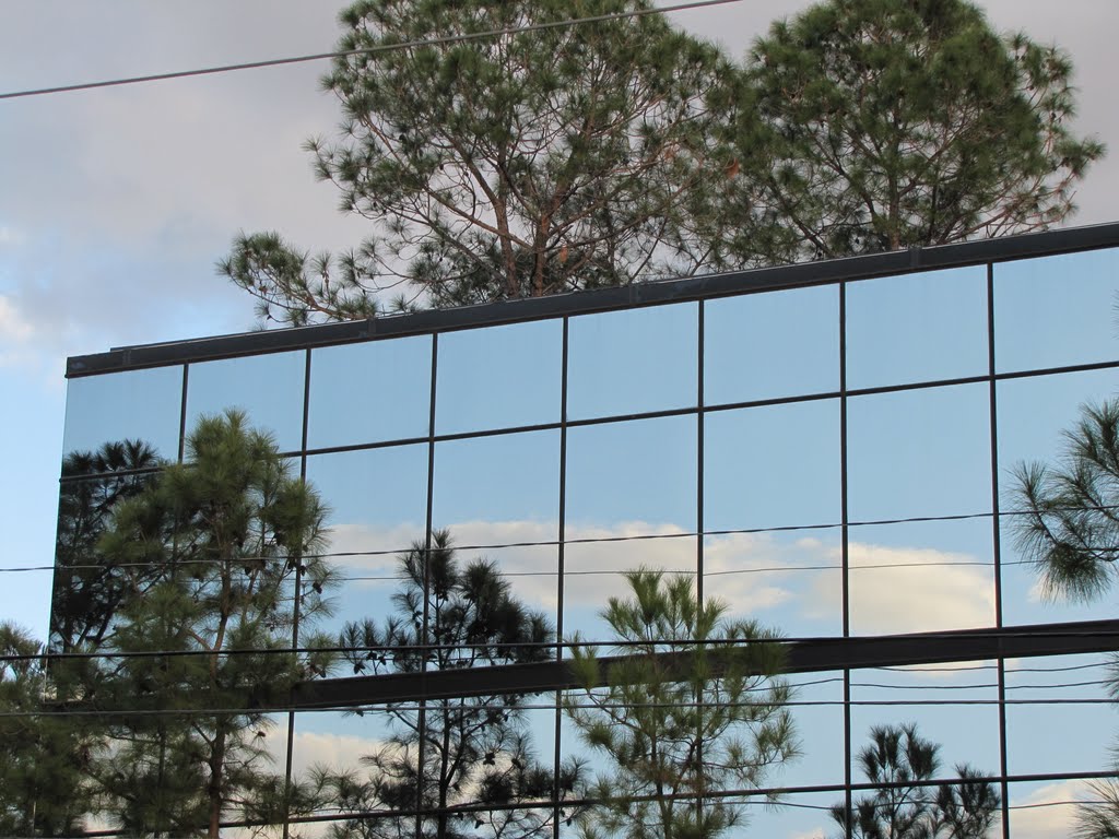 Glass front of office building with trees and reflection of blue sky by WOLFGANG HOUSTON WEST