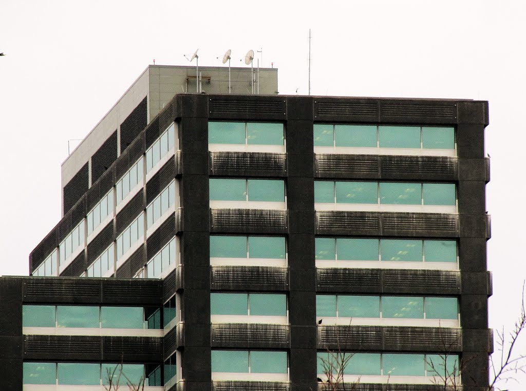 Teleshot of top portion of BP Energy Corridor Office Tower by WOLFGANG HOUSTON WEST