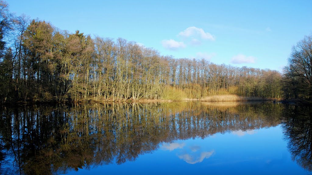 Beim Ammersbek-Stauwehr. by Hans Wolters