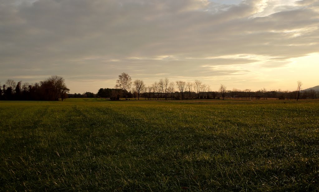 Farmland around Lovettsville by Sergey Dickey