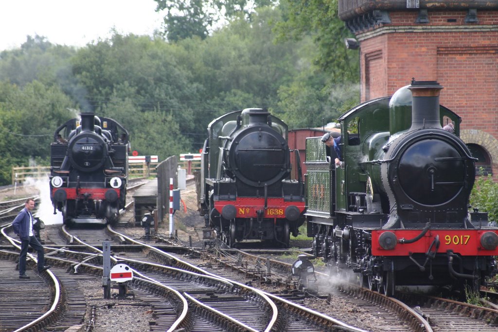 Bluebell Railway Sidings by TomMW