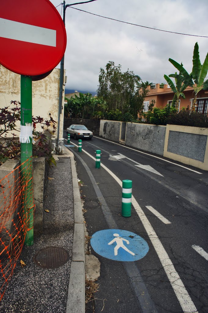 Camino para los blancos :). Carretera de las Dehesas by Boris Busorgin 2