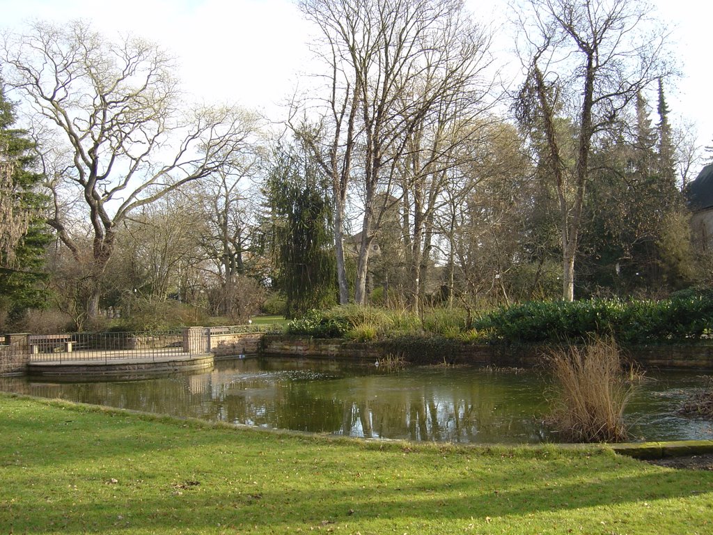 Speyer, Teich im Adenauerpark by Hermann Hauber