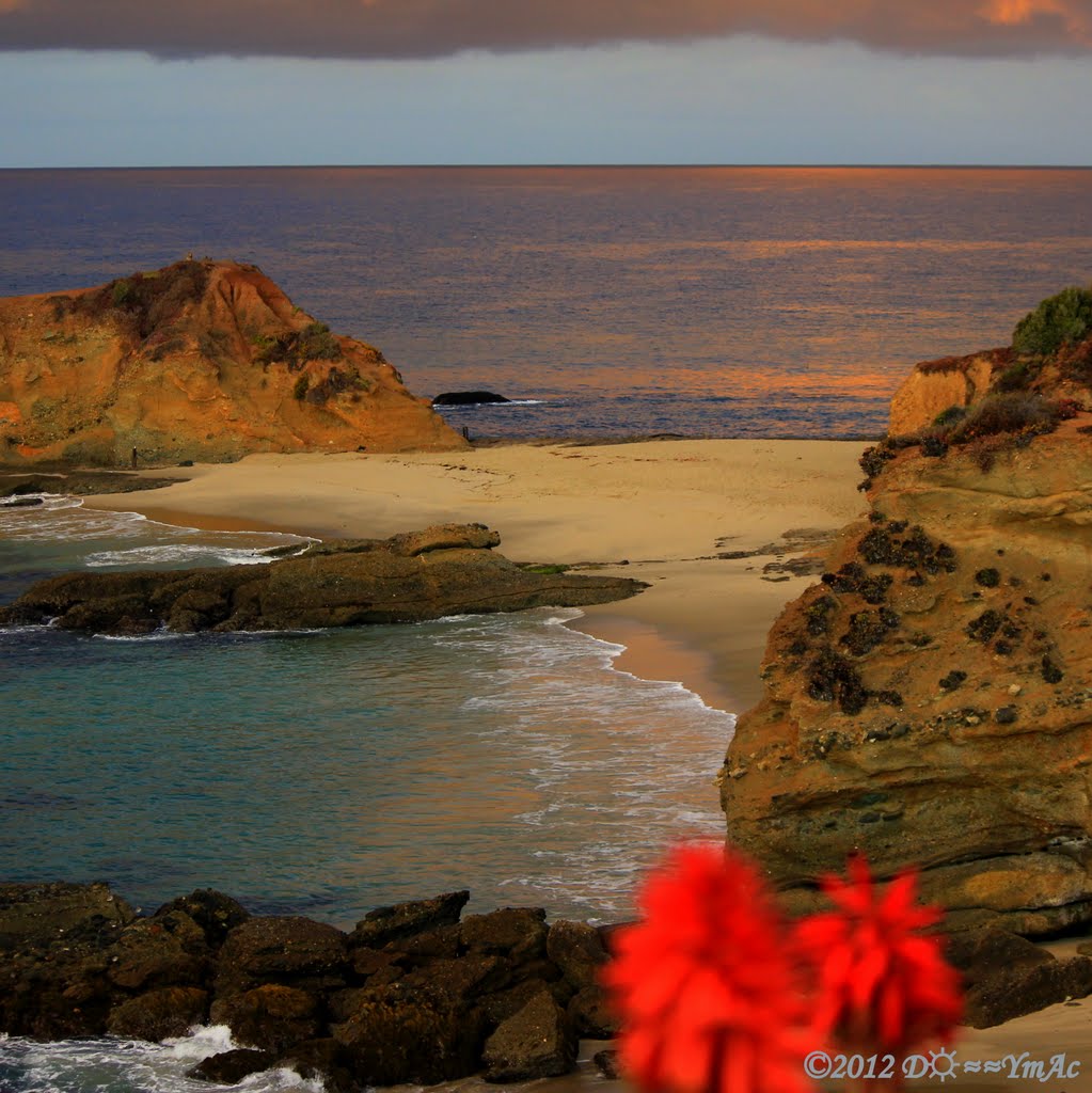 Treasure Island Sandbridge by D☼≈≈YmAc