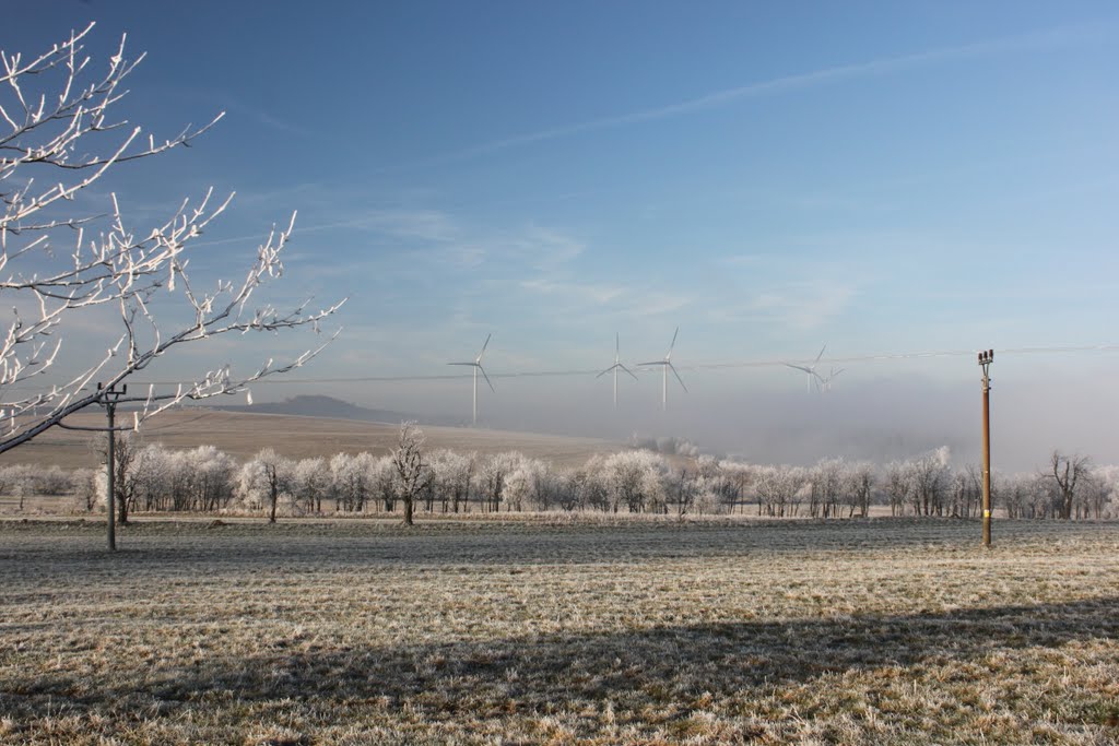 Bei Medenec by andrebeck