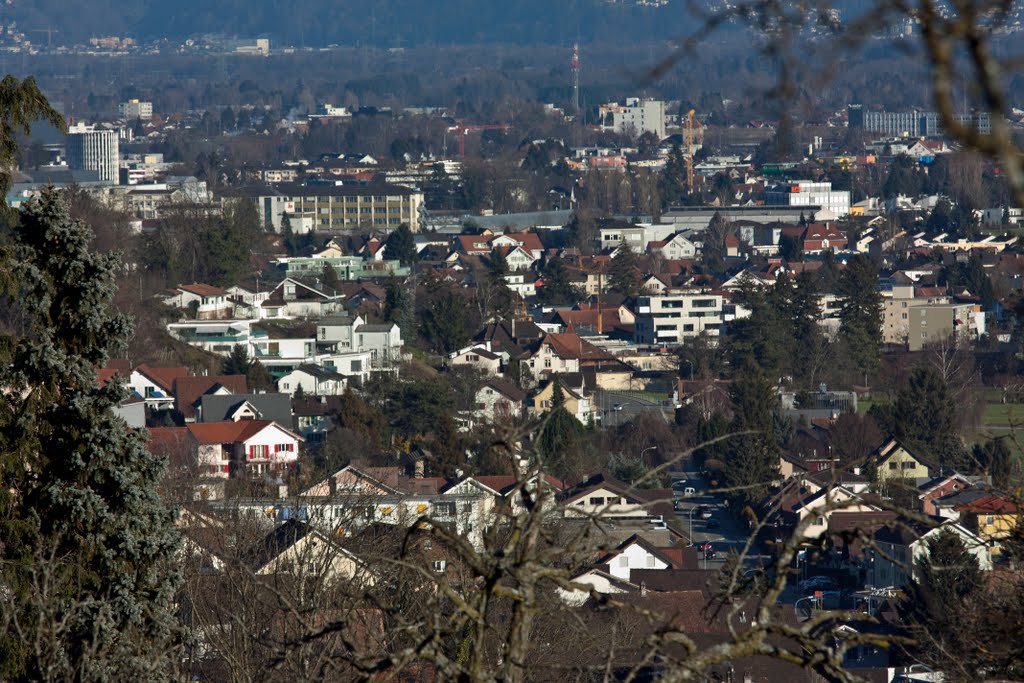 View over Rebstein to Balgach by Kurt Schwendinger  www.bestimage4u.com