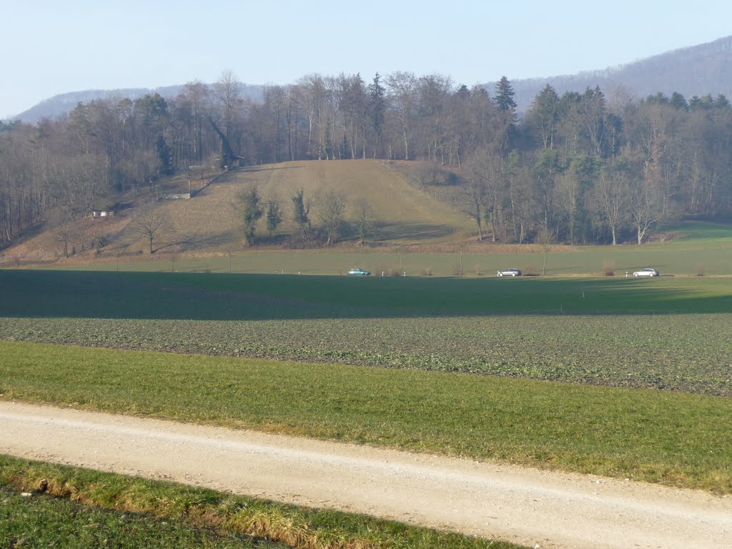 Möräne bei Würenlos by bienenritter