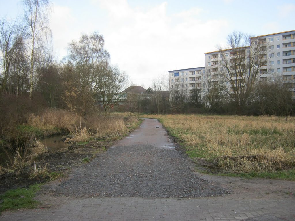 Wanderweg mit Wohnanlagen im Januar 2012 by Der Naturmensch