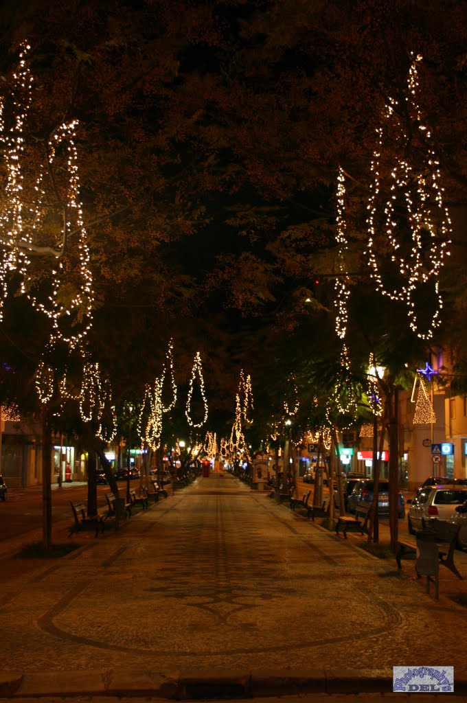 LOULÉ city-Christmas Lights 2010 by Del Dias