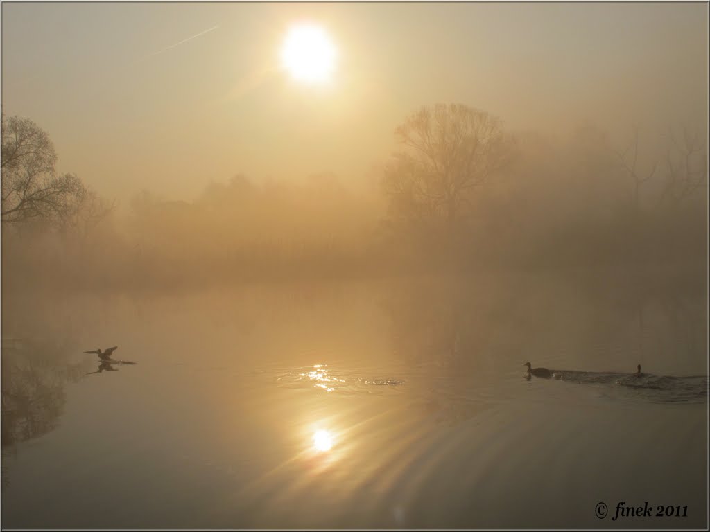 Foggy sunrise by finek