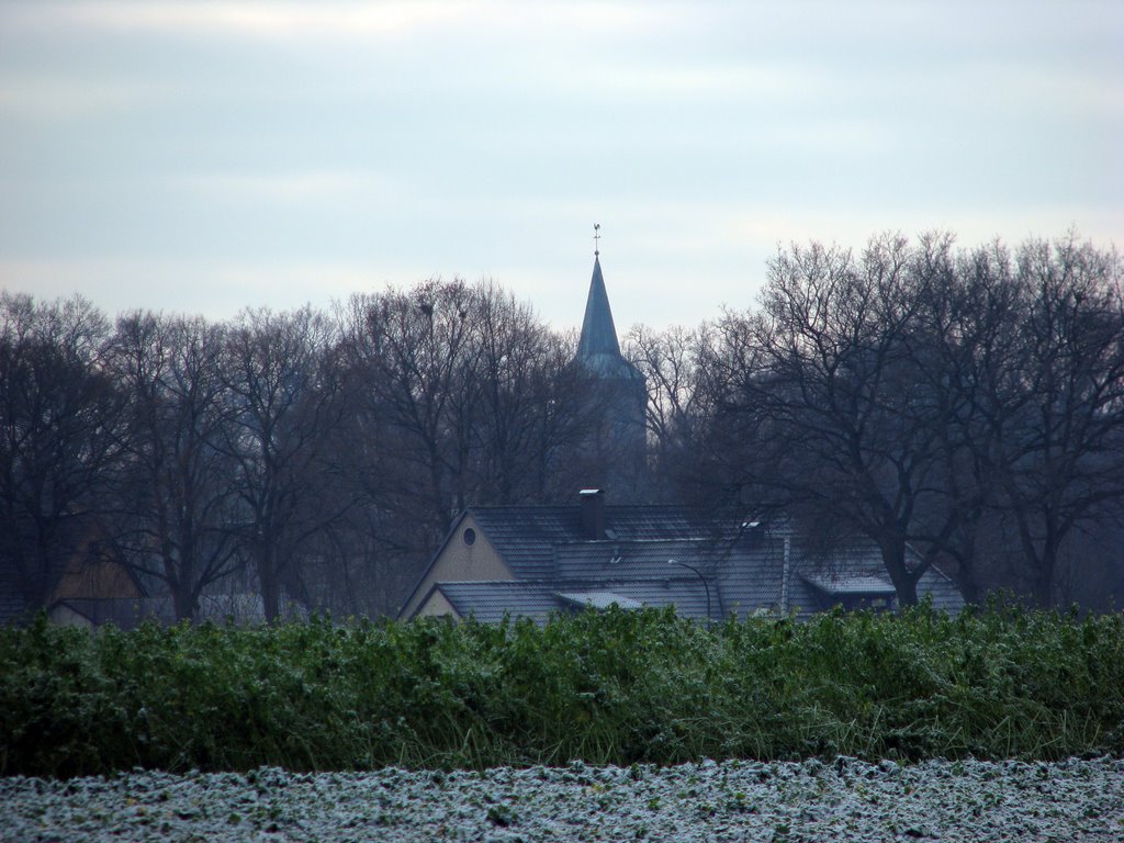 St. Petri Kirche am Horizont by tweety3d