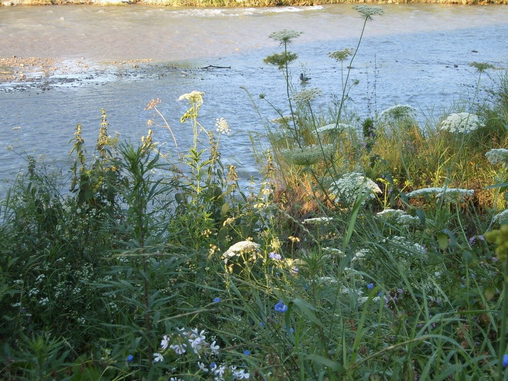 Pyatigorsk, Stavropol Krai, Russia by sl.nik