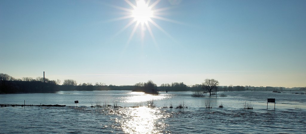 High water (IJssel) by Fred van Daalen