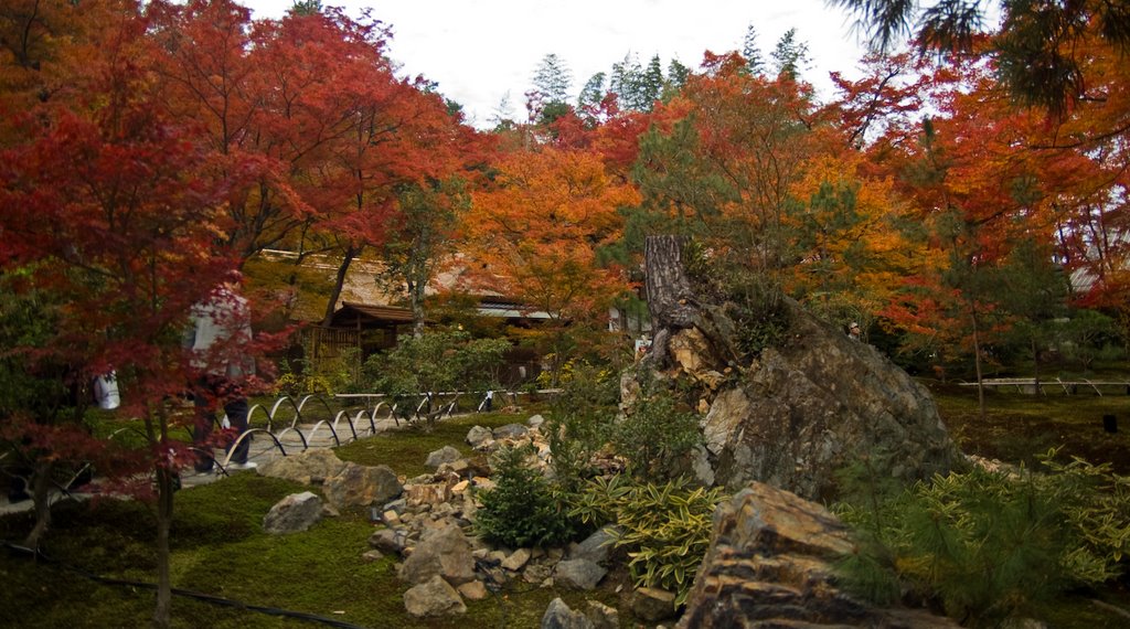 Sagatenryuji Susukinobabacho, Ukyo Ward, Kyoto, Kyoto Prefecture 616-8385, Japan by 宮崎亮