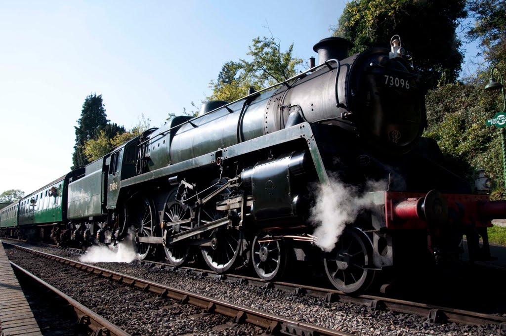 Steam train 73096 medstead and four marks station watercress line by simonhodgsonphotography