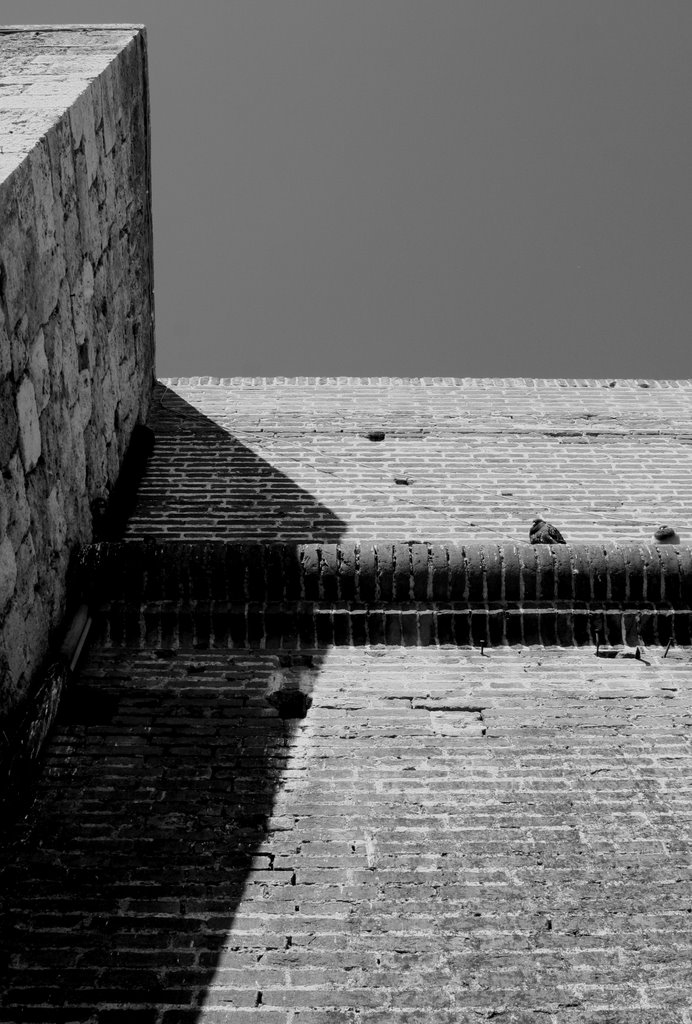 Grosseto wall by maremmaphotos.com