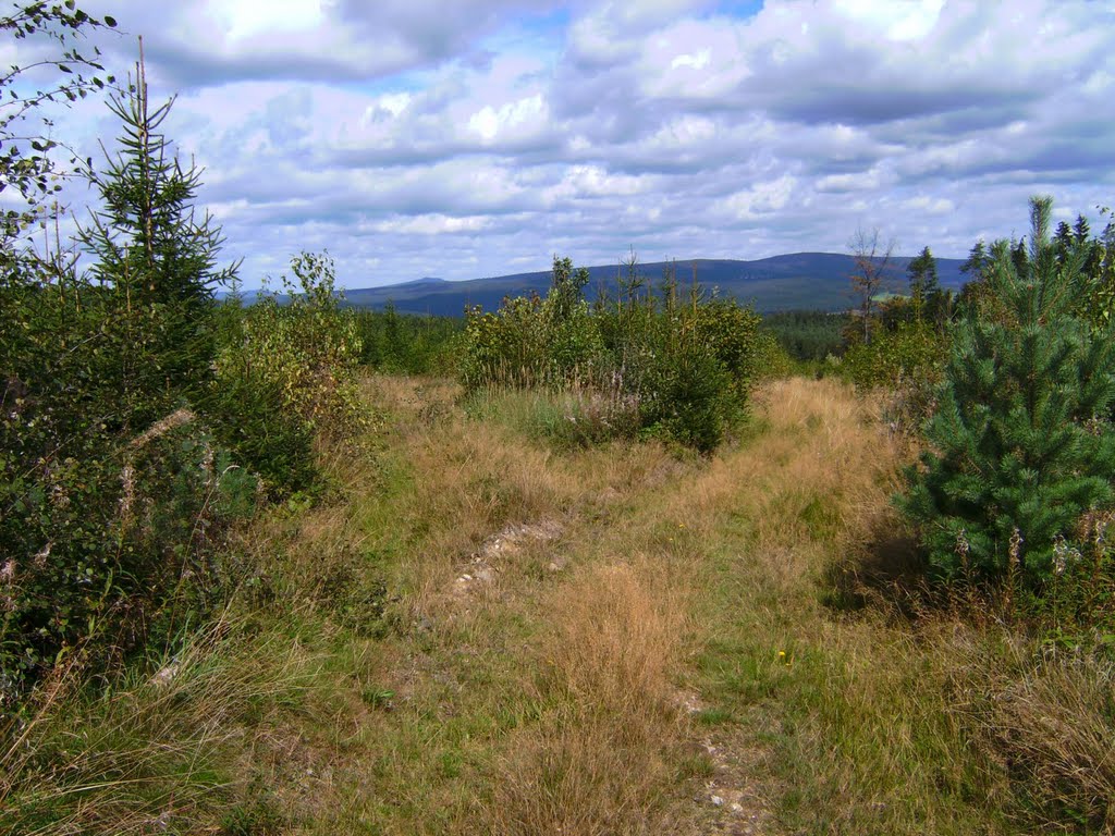 Blick zum Steinwald by G. Zapf