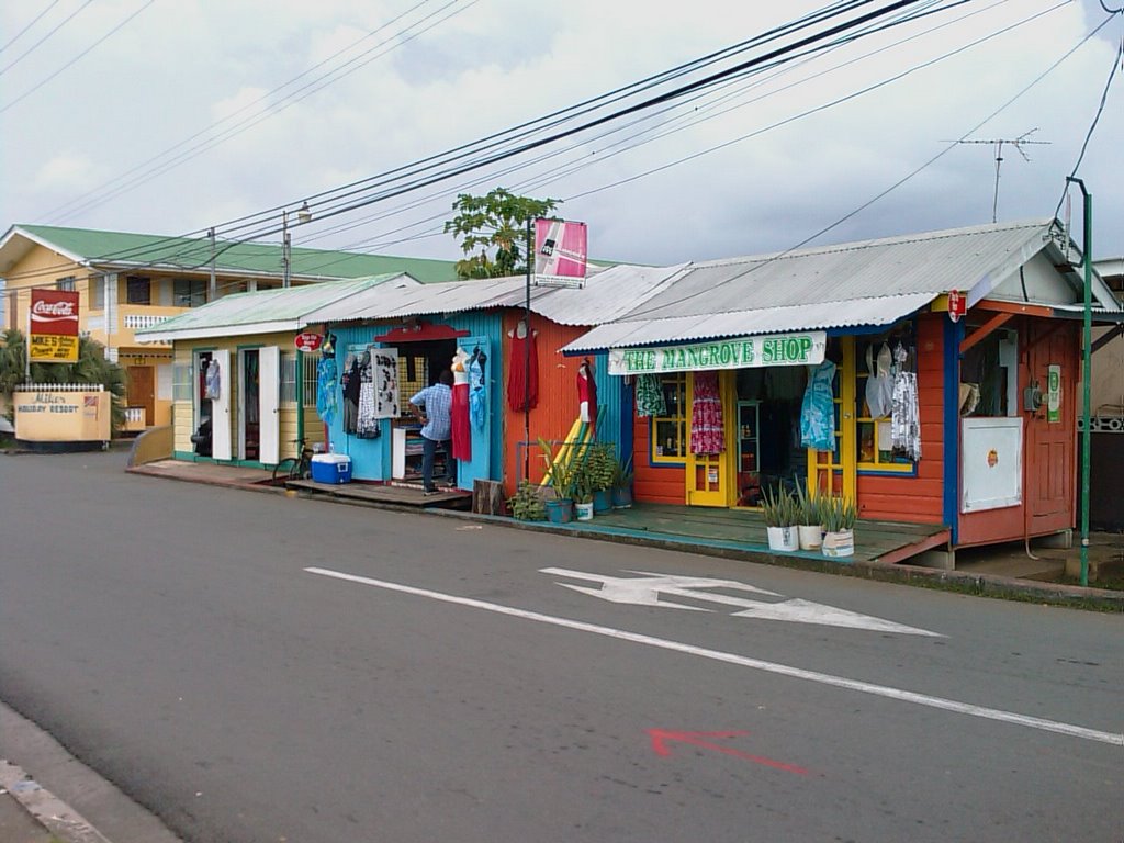 Oct. 2007 By Tobago Airport, Crown Point by Ivar Buxrud