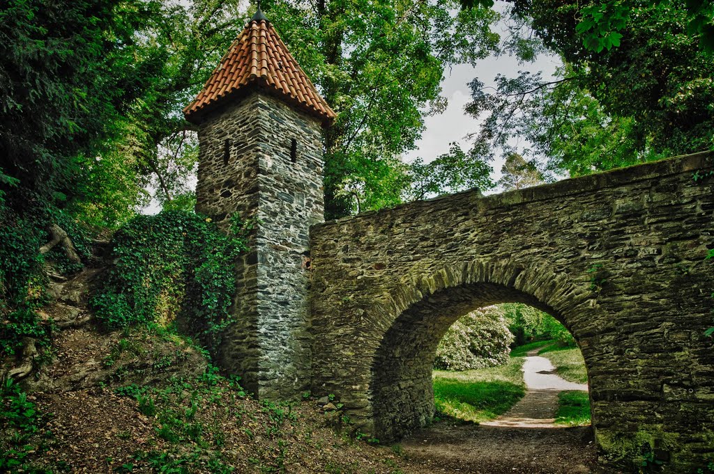 Zámecký park, Žleby by V.Říha