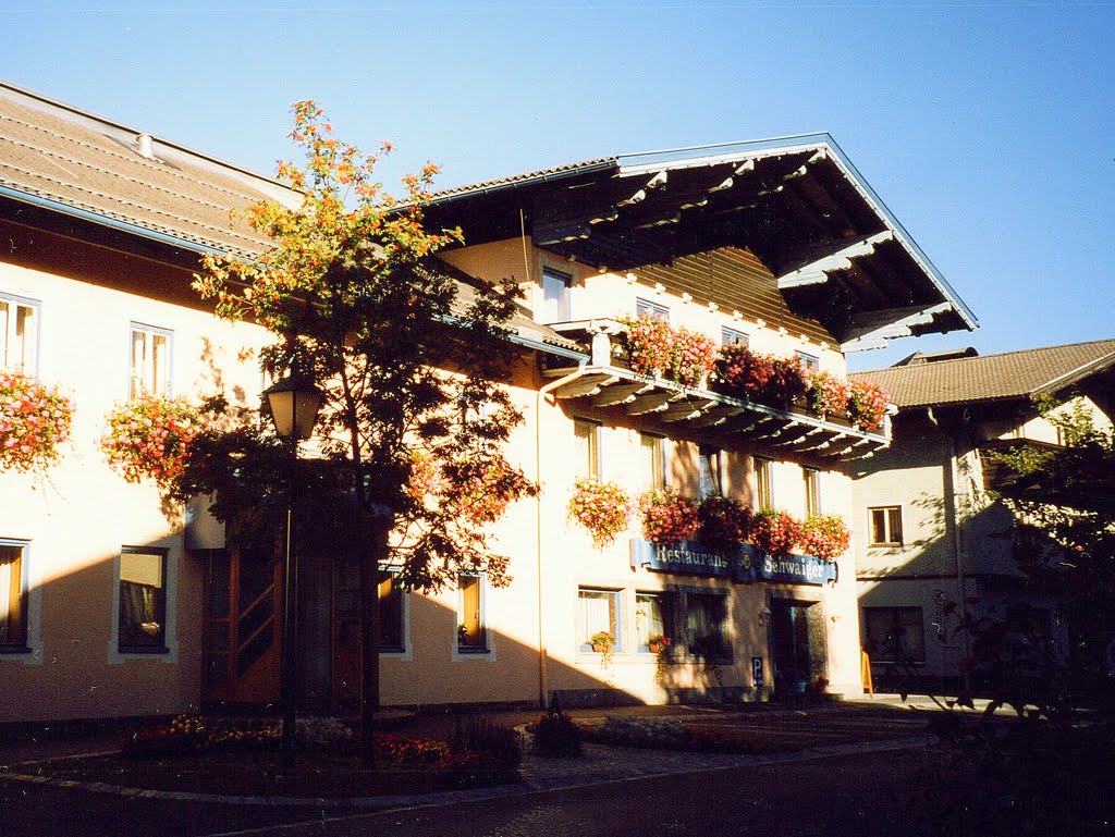 Eben im Pongau, Schwaiger hotel by simonkalman