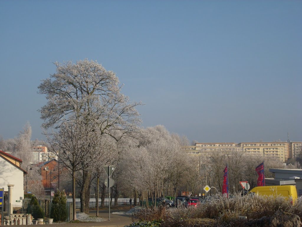 Ilmenau under the whitefrost. Unterpörlitzer Straße by Mykola Czerjoszyn