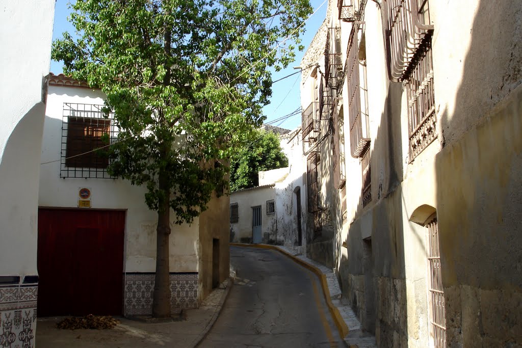 Arboleas. Calle de La Iglesia by VIVATIJOLA