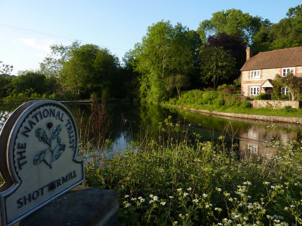 Shottermill Ponds by ZPIX