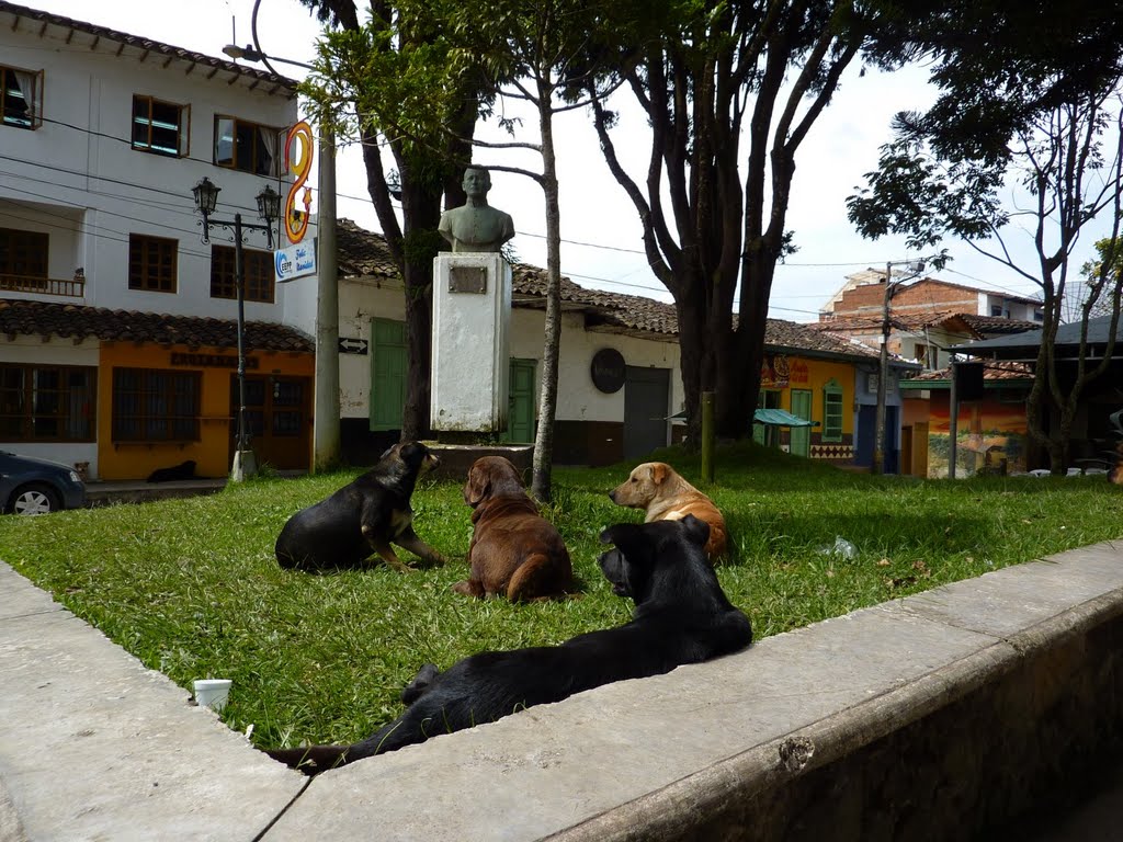 Temas de perros; dog issues - Santuario, Antioquia, Colombia by luchogu