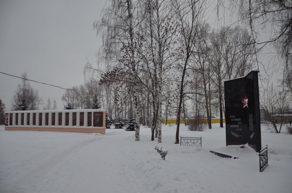 Мемориал. A memorial to soldiers who died during the Second World War. by Andrei Lazarev