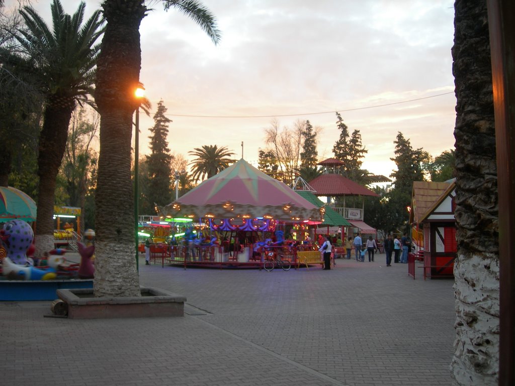 Atardecer en el Bosque Venustiano Carranza by Erzigoto