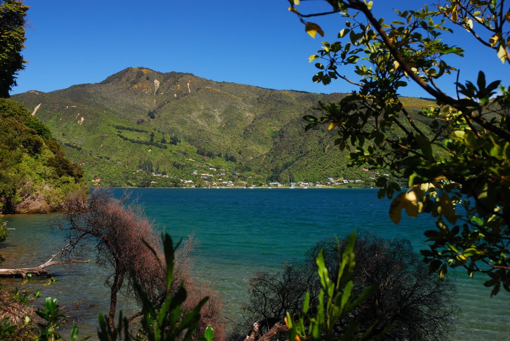 Aussie Bay DOC campsite by Nick Hunt