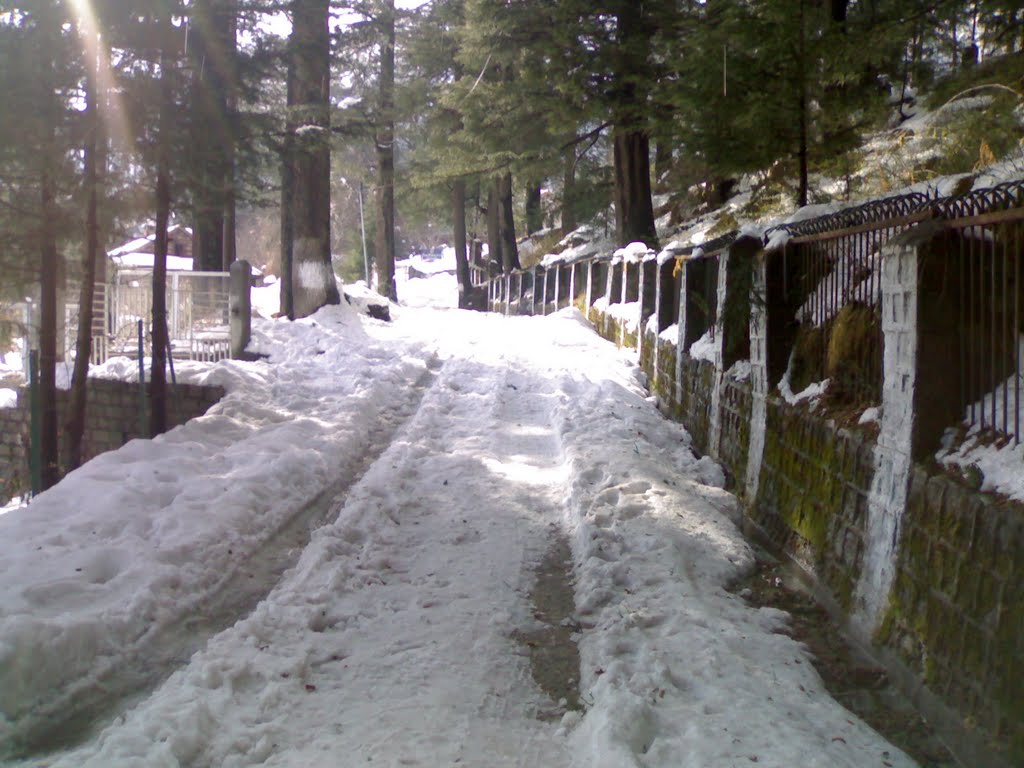 Way to Hadimba Temple (R K Telangba) by R.K. Telangba