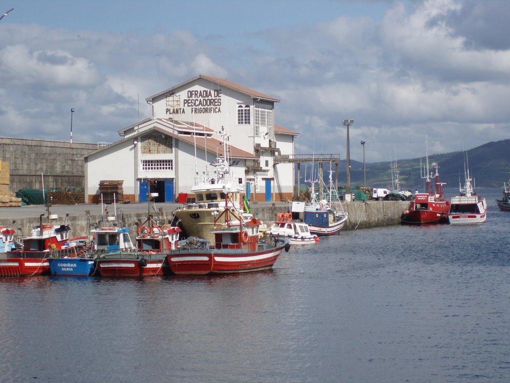 COFRADIA DE PESCADORES DE MALPICA ( PLANTA FRIGORIFICA ) by Damian  Castro