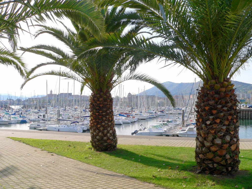 Port Hendaye by Edu Leiton